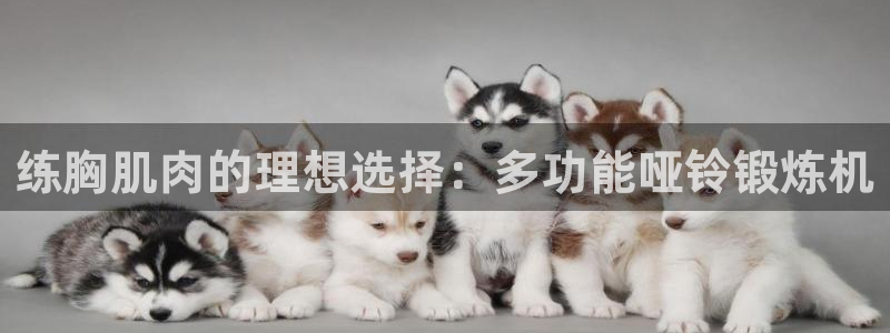 意昂4官方平台