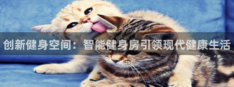 意昂4代理