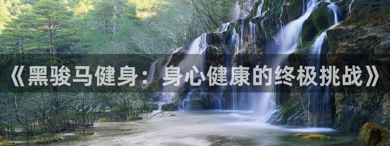 意昂4官方网站