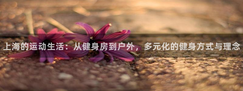 意昂4平台